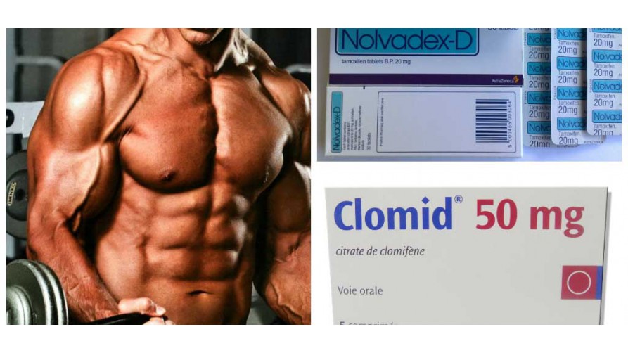 Clomid in bodybuilding for beginners Clomid in bodybuilding for beginners